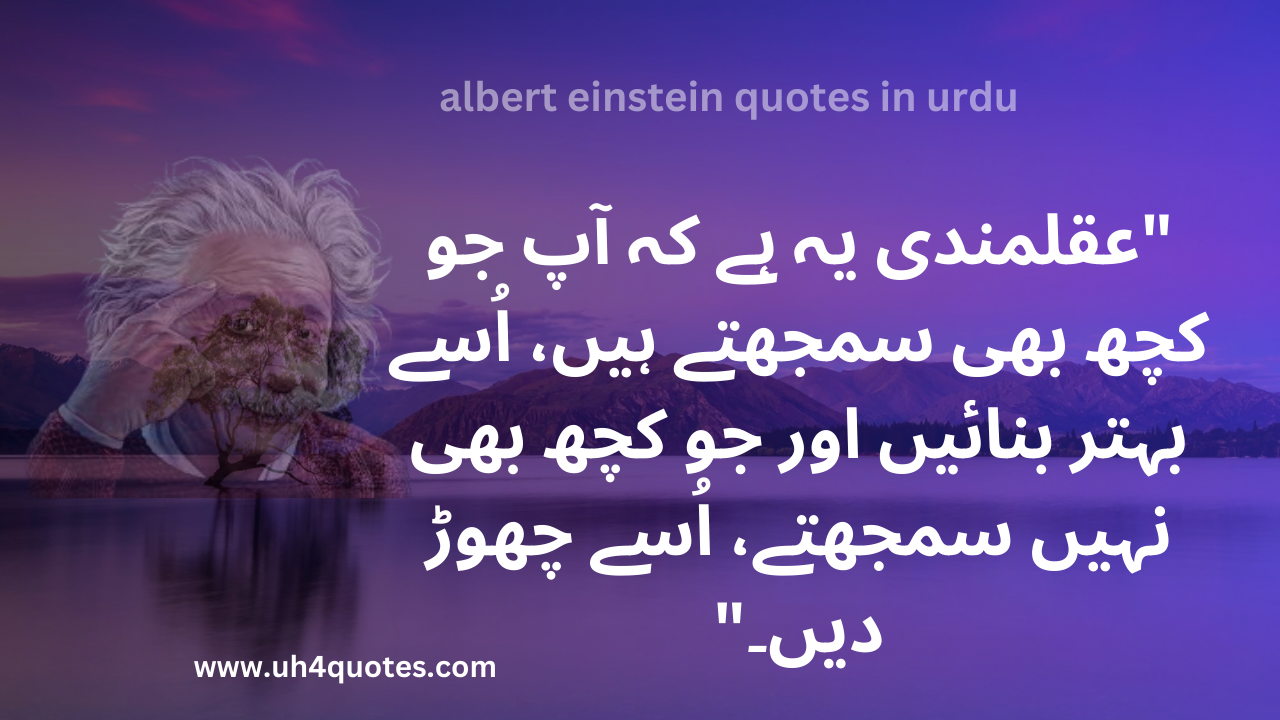albert einstein quotes in urdu